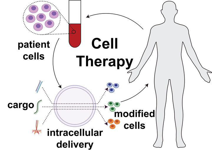 Cell therapy schematic