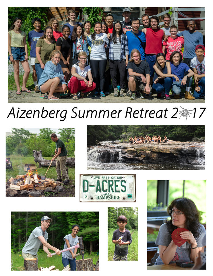 Aizenberg Summer Retreat at D'Acres, NH