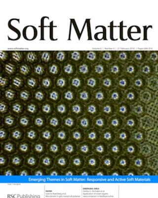 2010_soft_matter_microbristle_in_gel_cover_0.jpg