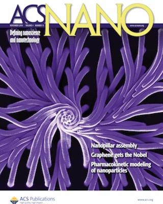 acs_nano_sung_cover.jpg