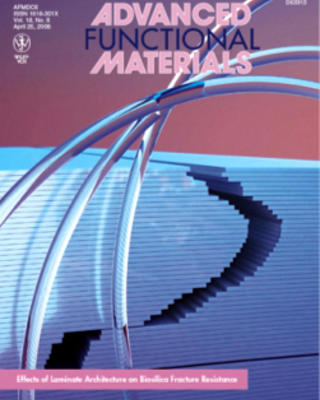 afm_cover.jpg