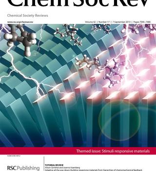chemsocrev_cover.jpg