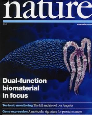 nature2001.jpg