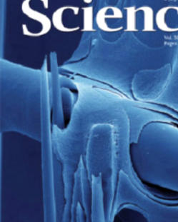 science_cover.jpg